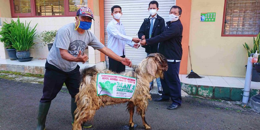 Distribusi Hewan Kurban MAN 2 Banyumas ke 11 MTs/SMP pada Idul Adha 1442 H. / 2021 M. berjalan Lancar