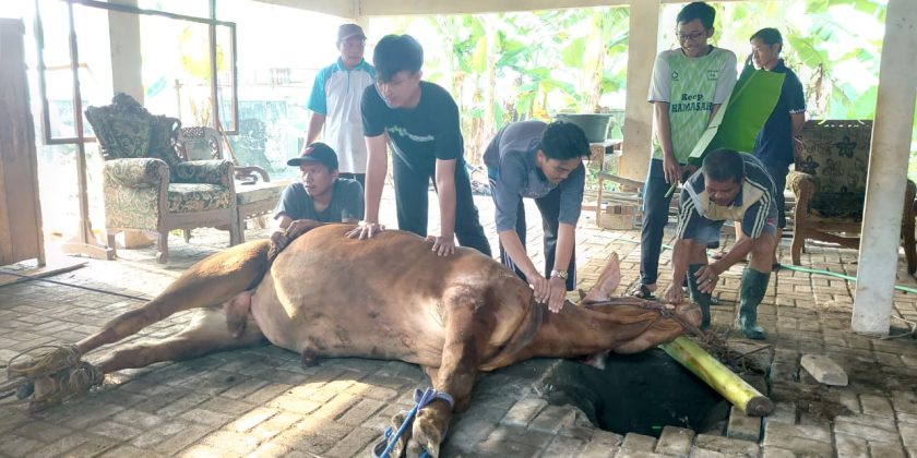 Menuju Iman dan Taqwa Dalam Kegiatan Idul Adha 1445 H